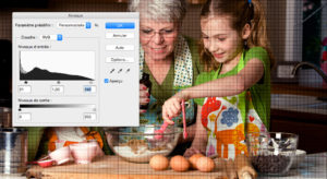 outil niveau photoshop