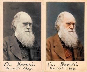 Top 25 photos anciennes historiques colorisées Charles Darwin